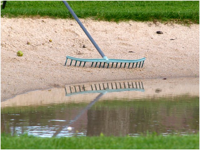 golf-193.jpg