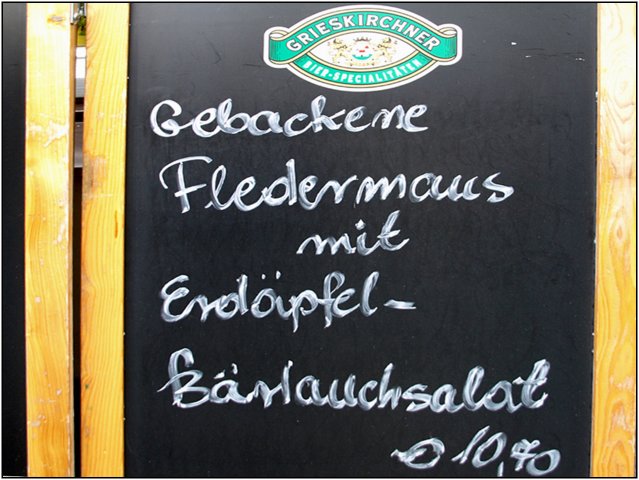 wien-365.jpg