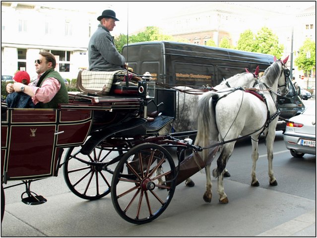 wien-366.jpg