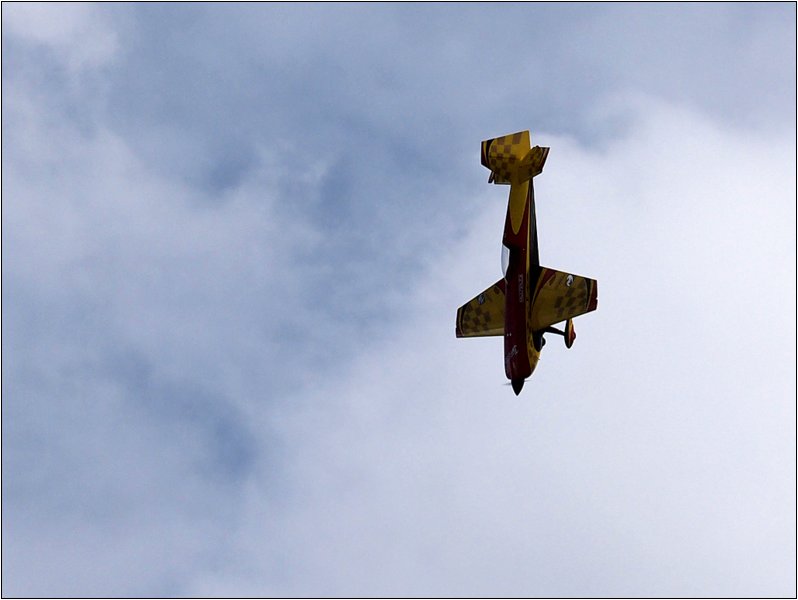 if-202.jpg