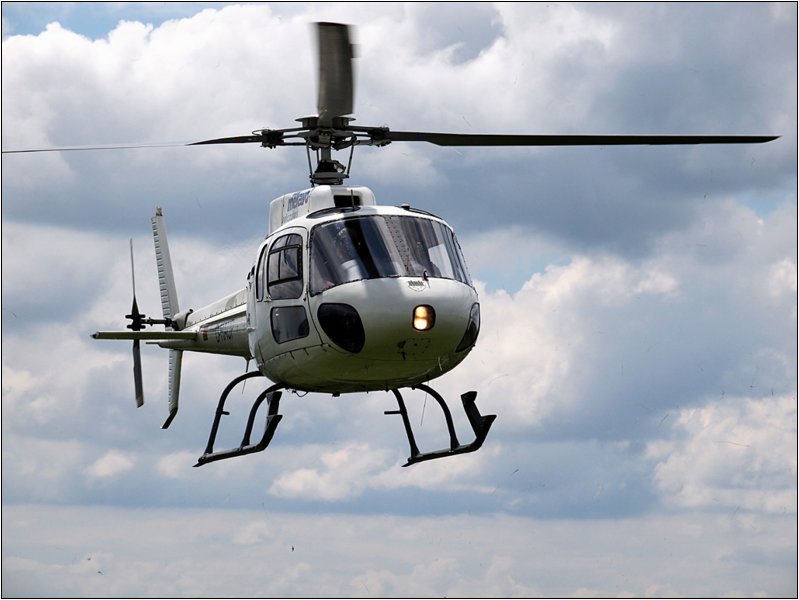 if-265.jpg